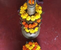 lcicijapan,kansawand,